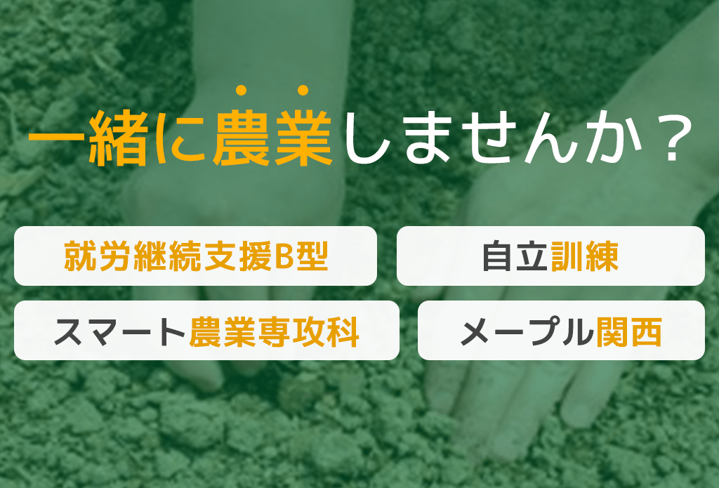 一緒に農業しませんか？就労継続支援B型自立訓練スマート農業専攻科メープル関西